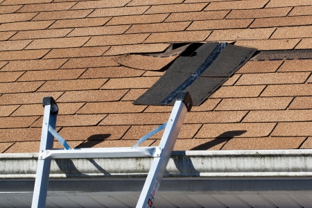 Roof Repair Service Image